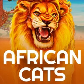 African Cats