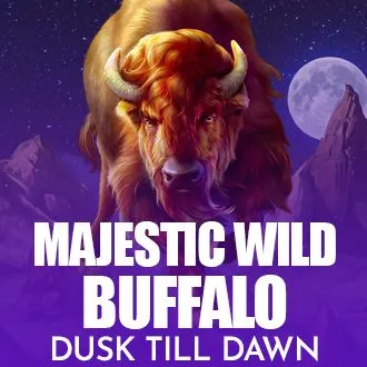 Majestic Wild Buffalo - Dusk Till Dawn