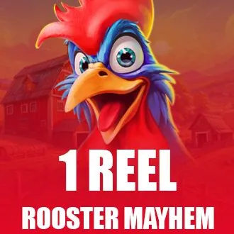 1 Reel - Rooster Mayhem