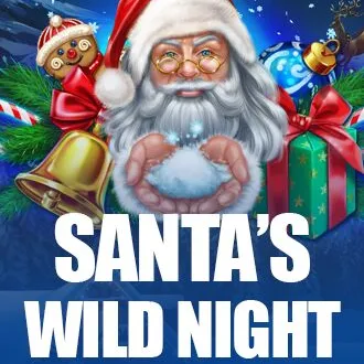 Santa’s Wild Night