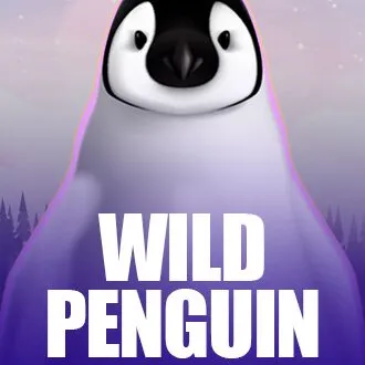 Wild Penguin