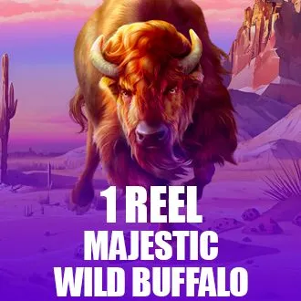 1 Reel - Majestic Wild Buffalo