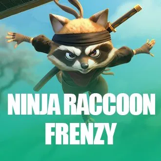 Ninja Raccoon Frenzy