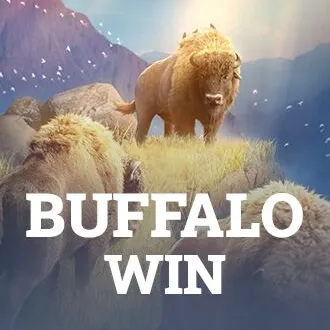 Buffalo Win