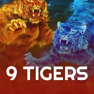 9 Tigers