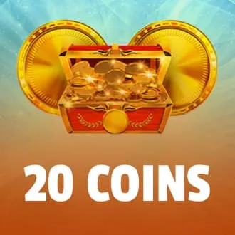 20 Coins