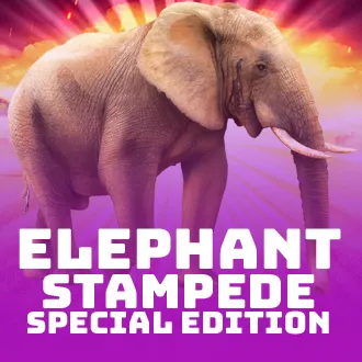 Elephant Stampede Special Edition