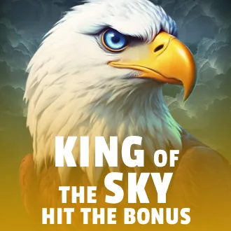 King Of The Sky: Hit The Bonus